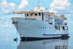 Philippines - Croisière plongée Tubbataha Reef sur Seadoors