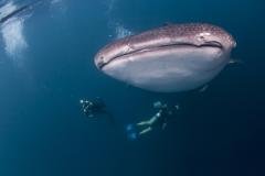 Philippines - Croisière Visayas sur Seadoors