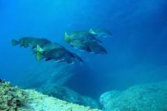 Grèce - Séjour à l'hôtel Calypso